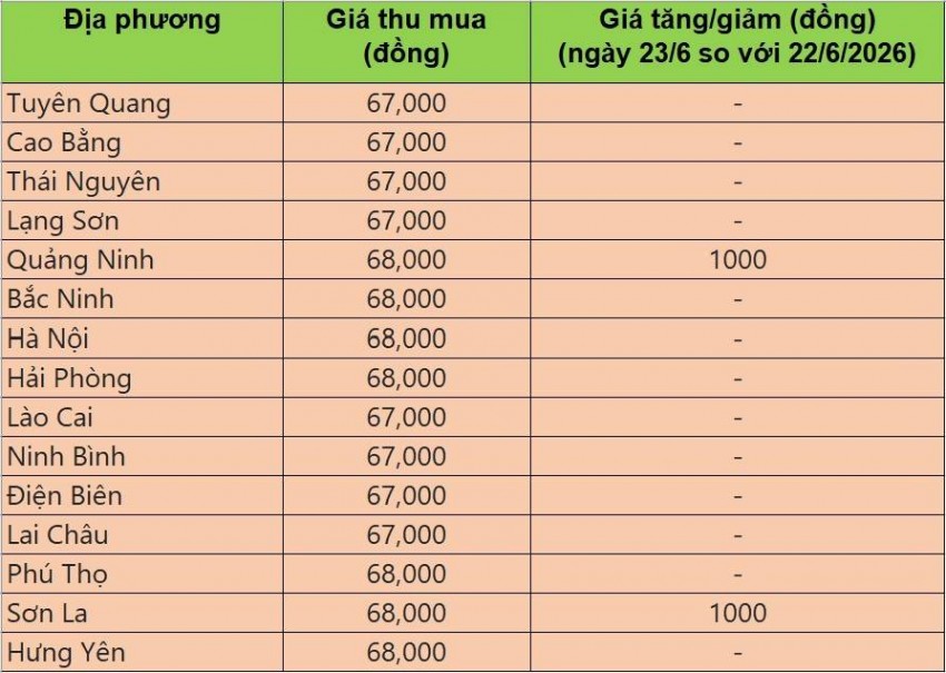 giá heo hơi