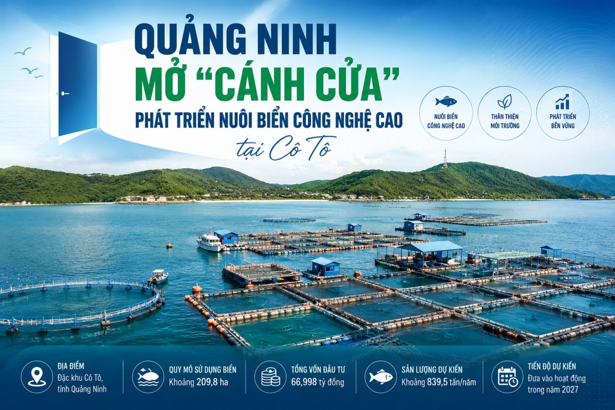 Quảng Ninh mở ‘cánh cửa’ phát triển nuôi biển công nghệ cao tại Cô Tô