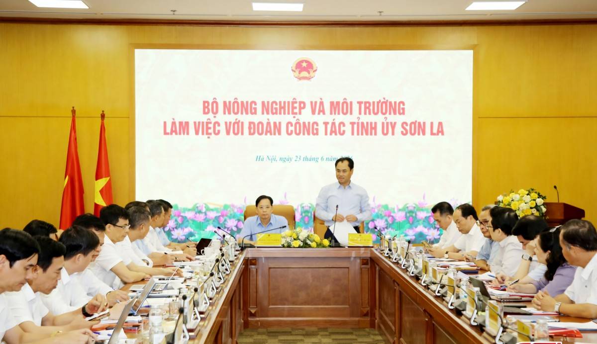 Sơn La kiến nghị hỗ trợ hơn 3.100 tỷ đồng cho tái định cư thủy điện