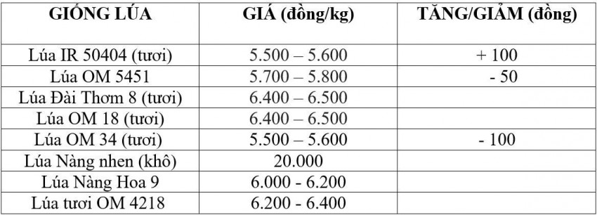 giá lúa gạo