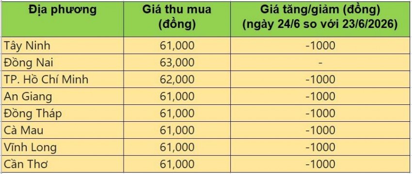 giá heo hơi