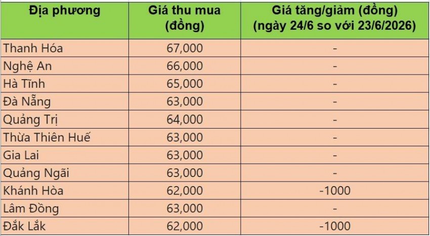 giá heo hơi