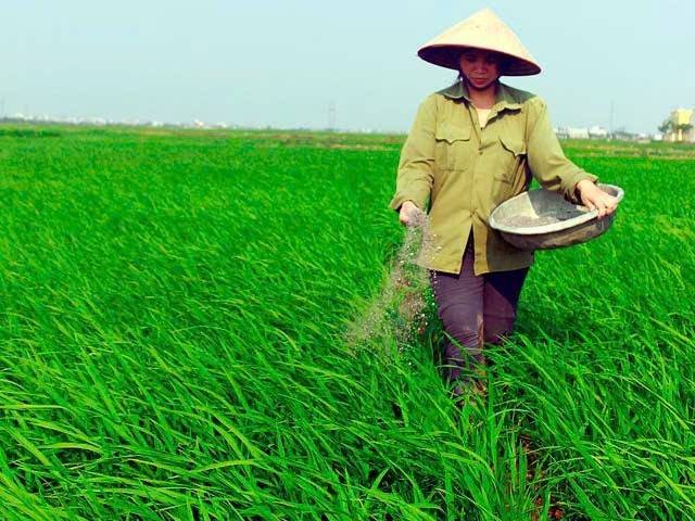 Thị trường phân bón hạ nhiệt: Nhu cầu yếu kéo giá urê lao dốc