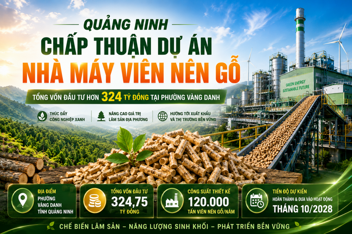 Quảng Ninh chấp thuận đầu tư Nhà máy viên nén gỗ và chế biến lâm sản hơn 324 tỷ đồng tại phường Vàng Danh