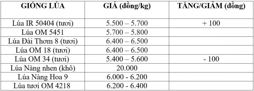 giá lúa gạo