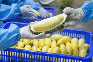 Muốn chinh phục thị trường Trung Quốc, nông sản Việt không thể chỉ dựa vào sản lượng