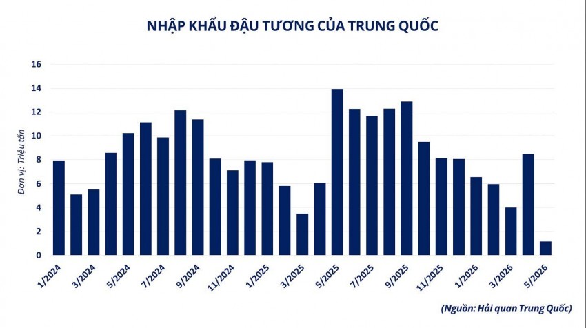 Đậu tương thế giới lao dốc: Áp lực từ thị trường năng lượng và tỷ giá