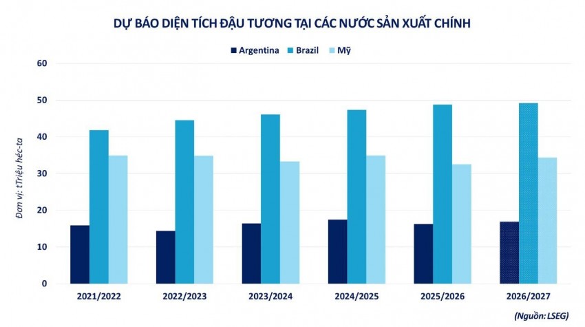 Đậu tương thế giới lao dốc: Áp lực từ thị trường năng lượng và tỷ giá