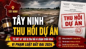 Tây Ninh thu hồi dự án 72.387 m² đất chậm triển khai