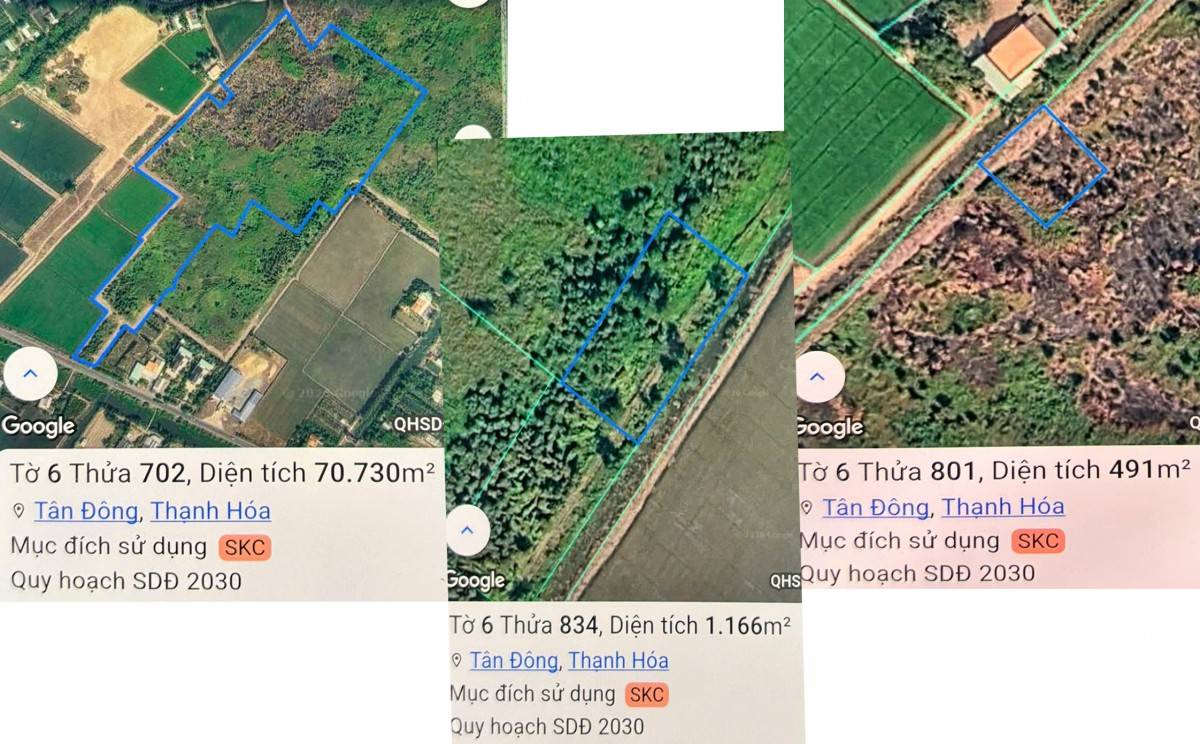 Hiện trạng khu đất Tây Ninh thu hồi dự án do chưa đưa vào sử dụng