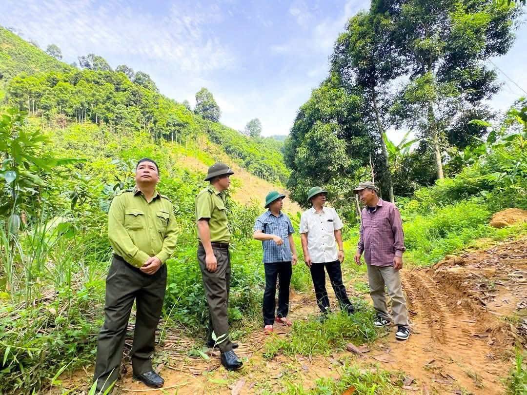 Nguồn gen - nền móng của thương hiệu quế hữu cơ