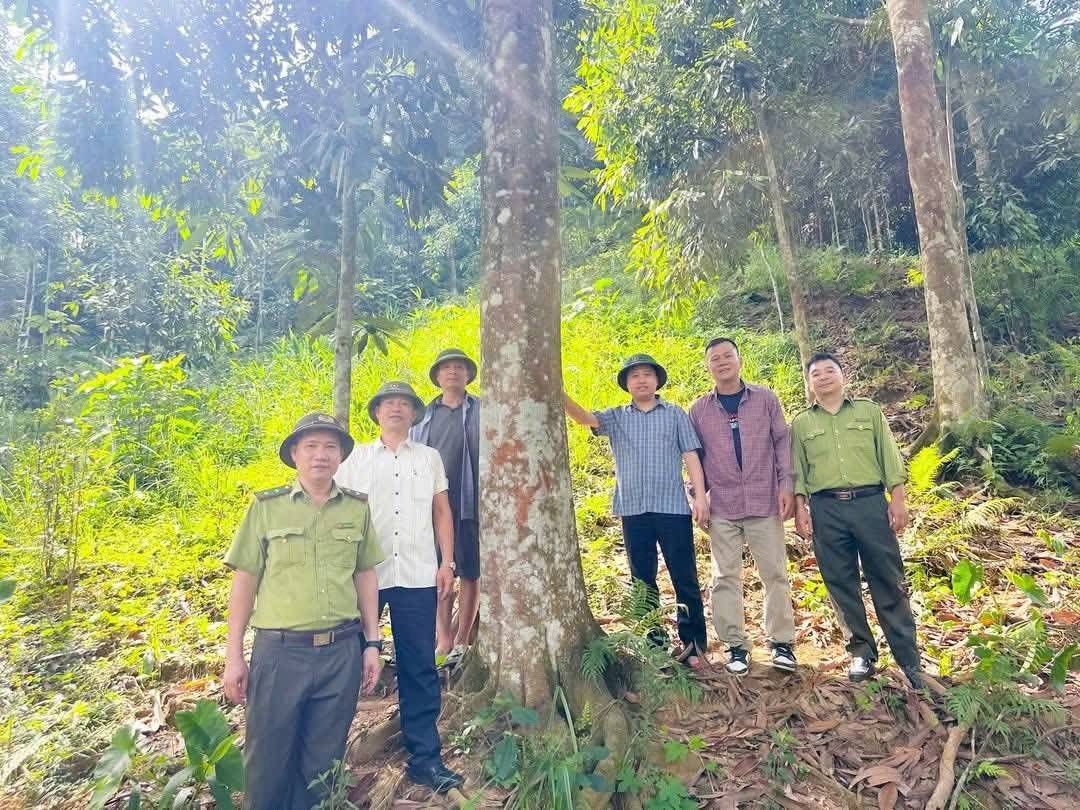 Đánh thức 