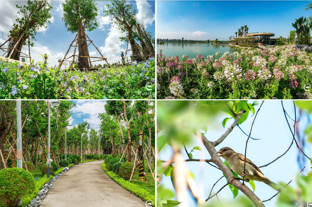 Thu hút đầu tư tại Khu đô thị sinh thái Bến Lức mở ra cơ hội phát triển kinh tế