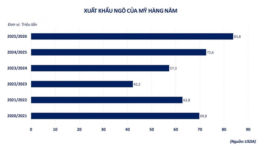 Rủi ro thời tiết thúc đẩy giá ngô thế giới phục hồi mạnh