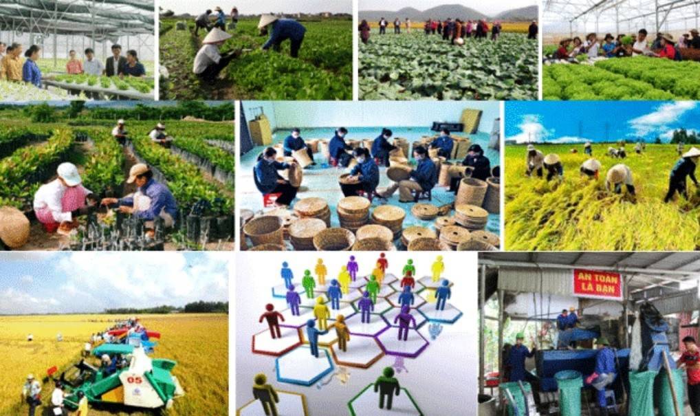 Chương trình đặt mục tiêu tổng quát phát triển khu vực kinh tế tập thể theo hướng năng động, hiệu quả, góp phần tạo việc làm, nâng cao thu nhập cho người dân, xây dựng nông thôn mới và bảo đảm an sinh xã hội. Tiếp tục khẳng định vai trò, vị trí quan trọng của kinh tế tập thể, hợp tác xã trong nền kinh tế quốc dân.