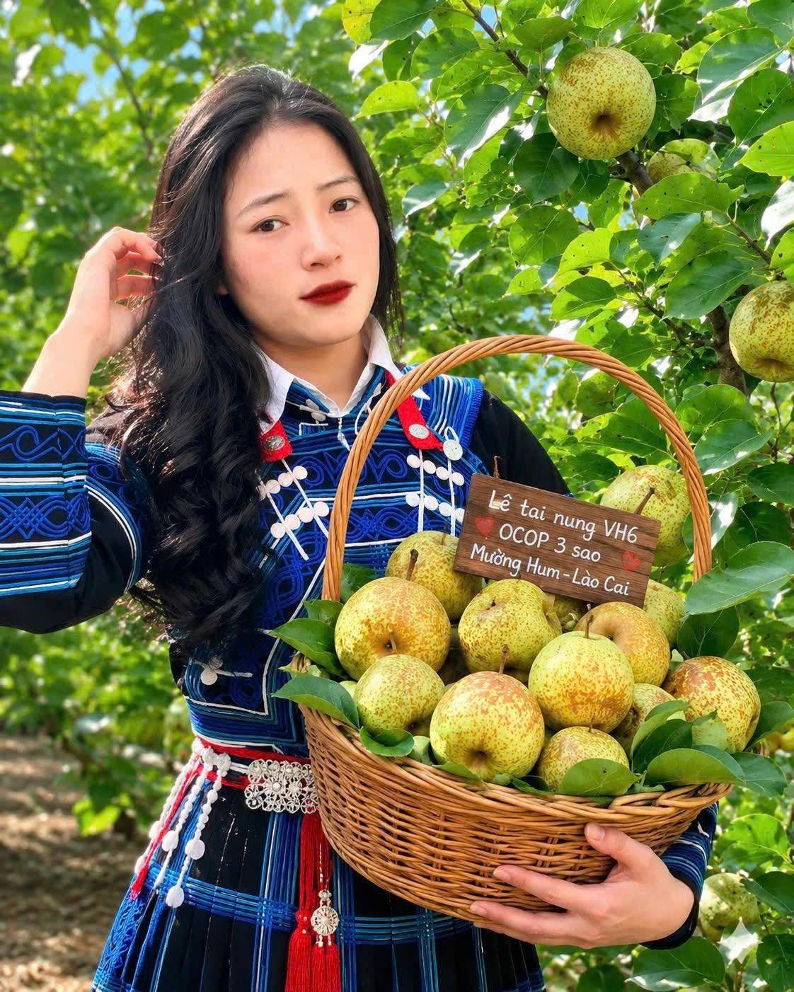 Lào Cai: Đánh thức “vương quốc” Lê Nậm Pung – Từ mùa quả ngọt đến hệ sinh thái kinh tế xanh