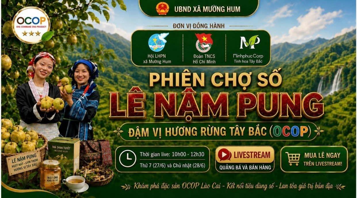 Lào Cai: Đánh thức “vương quốc” Lê Nậm Pung – Từ mùa quả ngọt đến hệ sinh thái kinh tế xanh