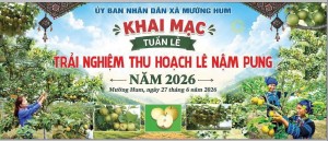Lào Cai: Đánh thức “vương quốc” Lê Nậm Pung – Từ mùa quả ngọt đến hệ sinh thái kinh tế xanh