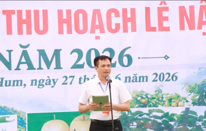 Lào Cai: Đánh thức “vương quốc” Lê Nậm Pung – Từ mùa quả ngọt đến hệ sinh thái kinh tế xanh