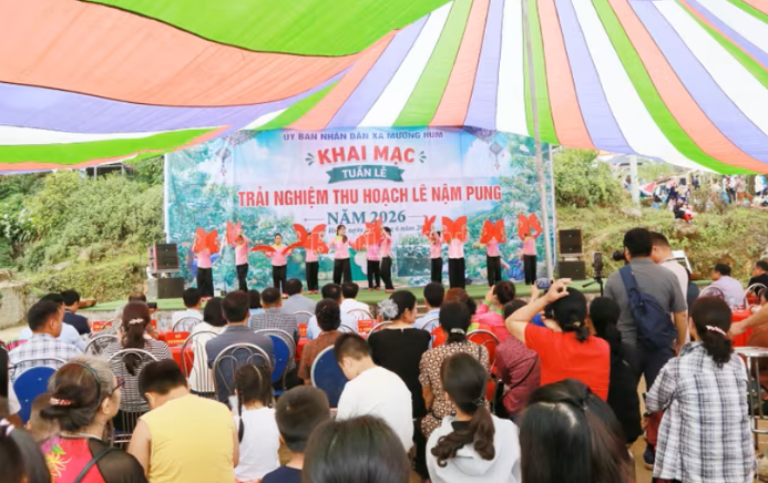 Lào Cai: Đánh thức “vương quốc” Lê Nậm Pung – Từ mùa quả ngọt đến hệ sinh thái kinh tế xanh