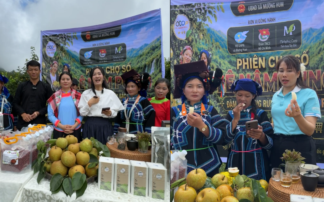 Lào Cai: Đánh thức “vương quốc” Lê Nậm Pung – Từ mùa quả ngọt đến hệ sinh thái kinh tế xanh