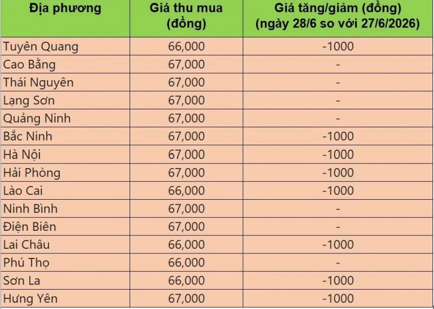 Bảng giá heo hơi tại miền Bắc hôm nay 28/6/2026