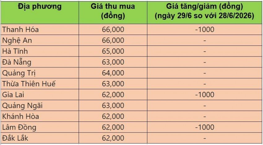 Bảng giá heo hơi tại miền Trung - Tây Nguyên hôm nay 29/6/2026