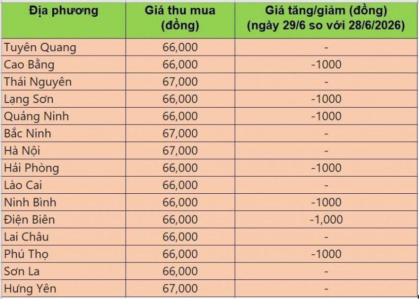 Bảng giá heo hơi tại miền Bắc hôm nay 29/6/2026