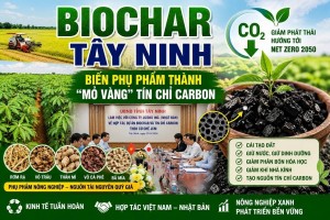Tây Ninh phát triển biochar thúc đẩy tín chỉ carbon nông nghiệp