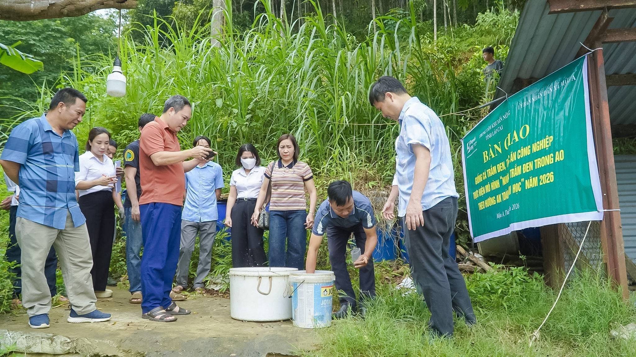 Lào Cai trao “cần câu” sinh kế bền vững từ mô hình nuôi cá trắm đen an toàn sinh học