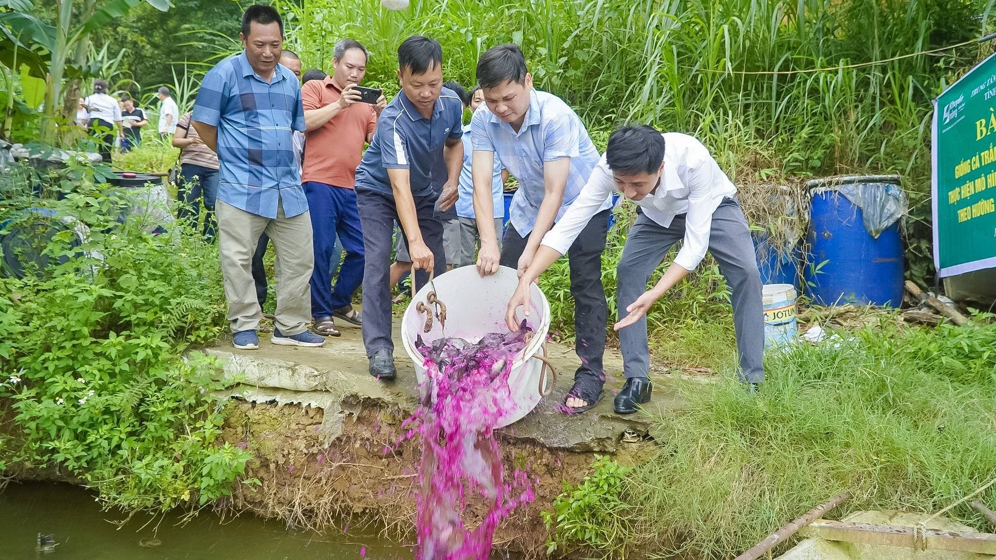 Lào Cai trao “cần câu” sinh kế bền vững từ mô hình nuôi cá trắm đen an toàn sinh học