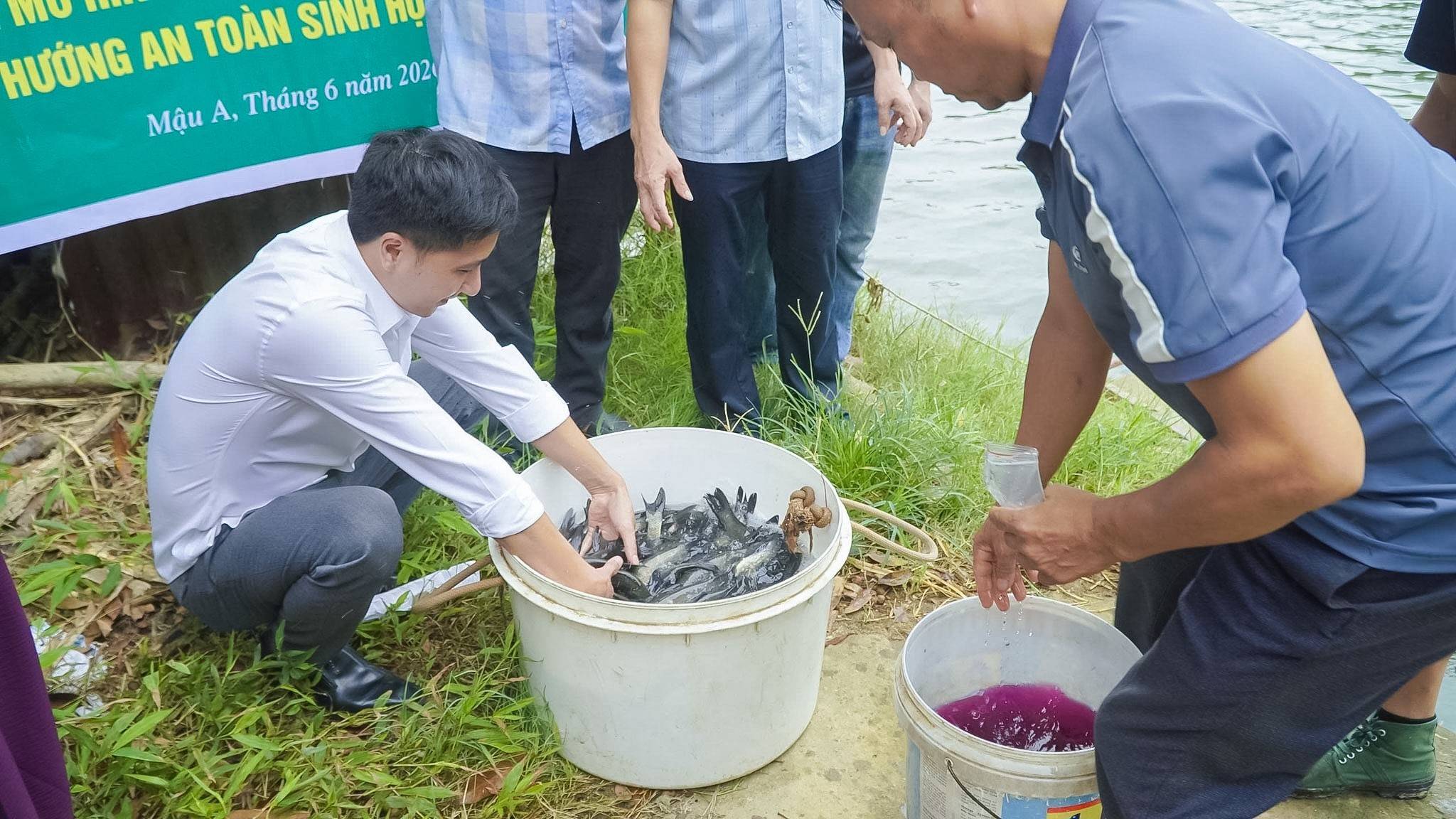 Lào Cai trao “cần câu” sinh kế bền vững từ mô hình nuôi cá trắm đen an toàn sinh học