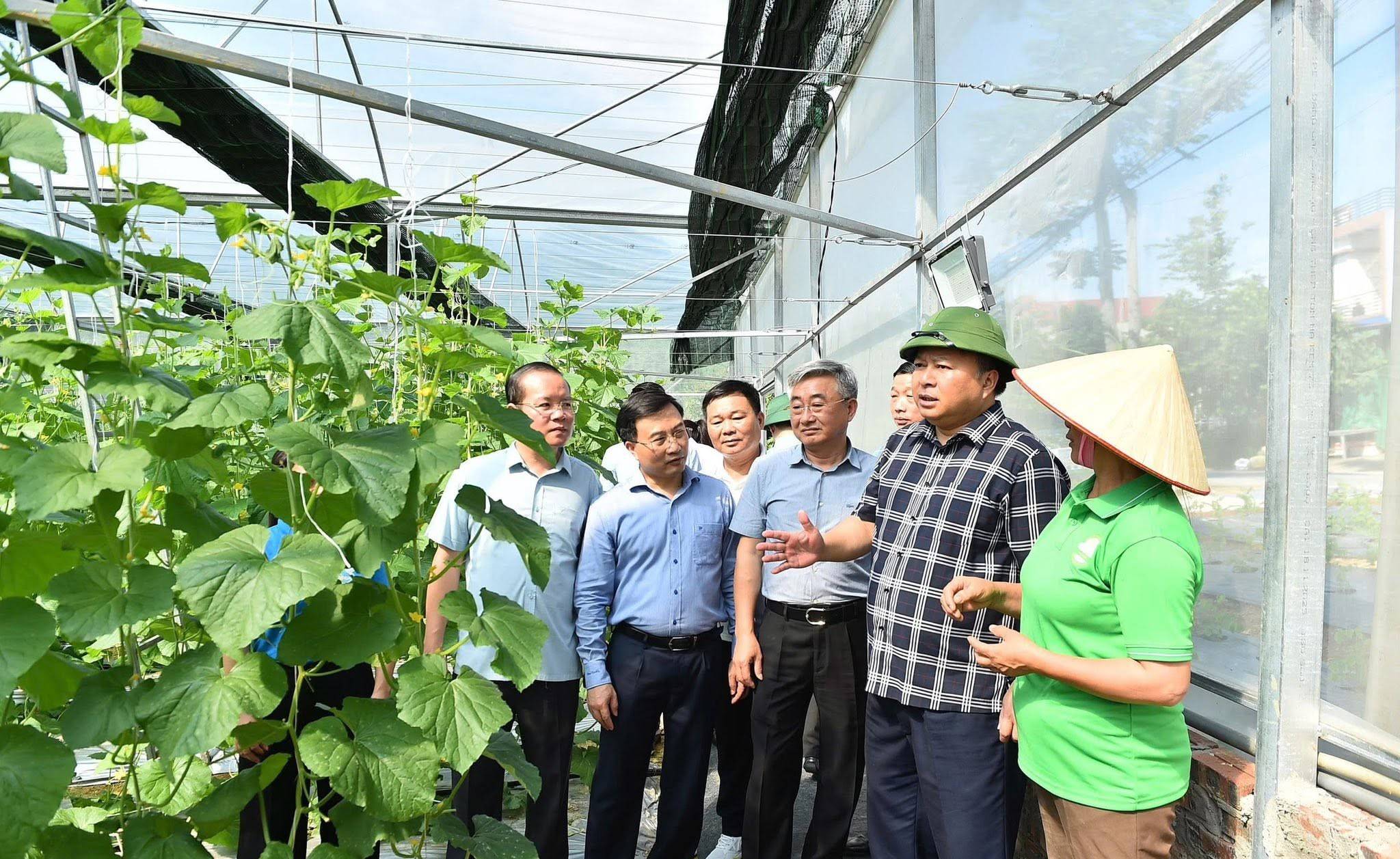 Tuyên Quang chuyển mình mạnh mẽ, kiến tạo nền nông nghiệp xanh từ vùng nguyên liệu đến chuỗi giá trị
