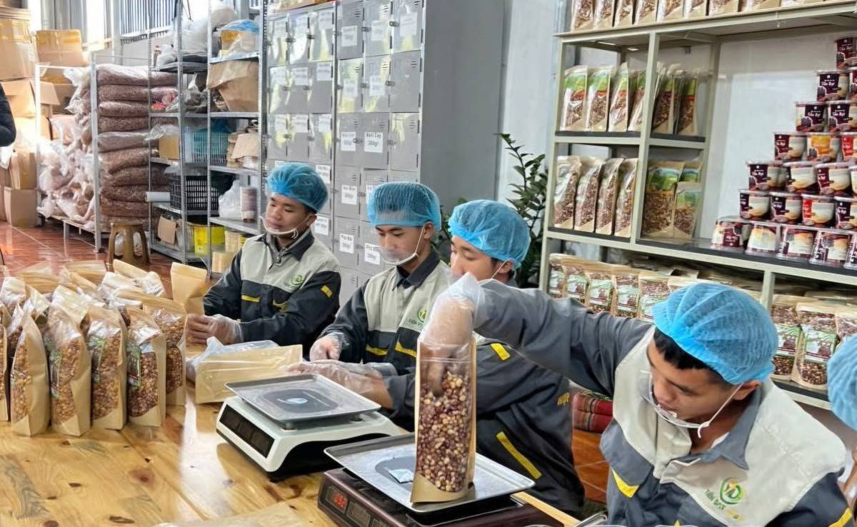 Điện Biên: Hợp tác xã tăng tốc chuyển đổi, mở rộng chuỗi giá trị