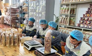 Điện Biên: Hợp tác xã tăng tốc chuyển đổi, mở rộng chuỗi giá trị