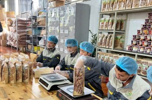 Điện Biên: Hợp tác xã tăng tốc chuyển đổi, mở rộng chuỗi giá trị