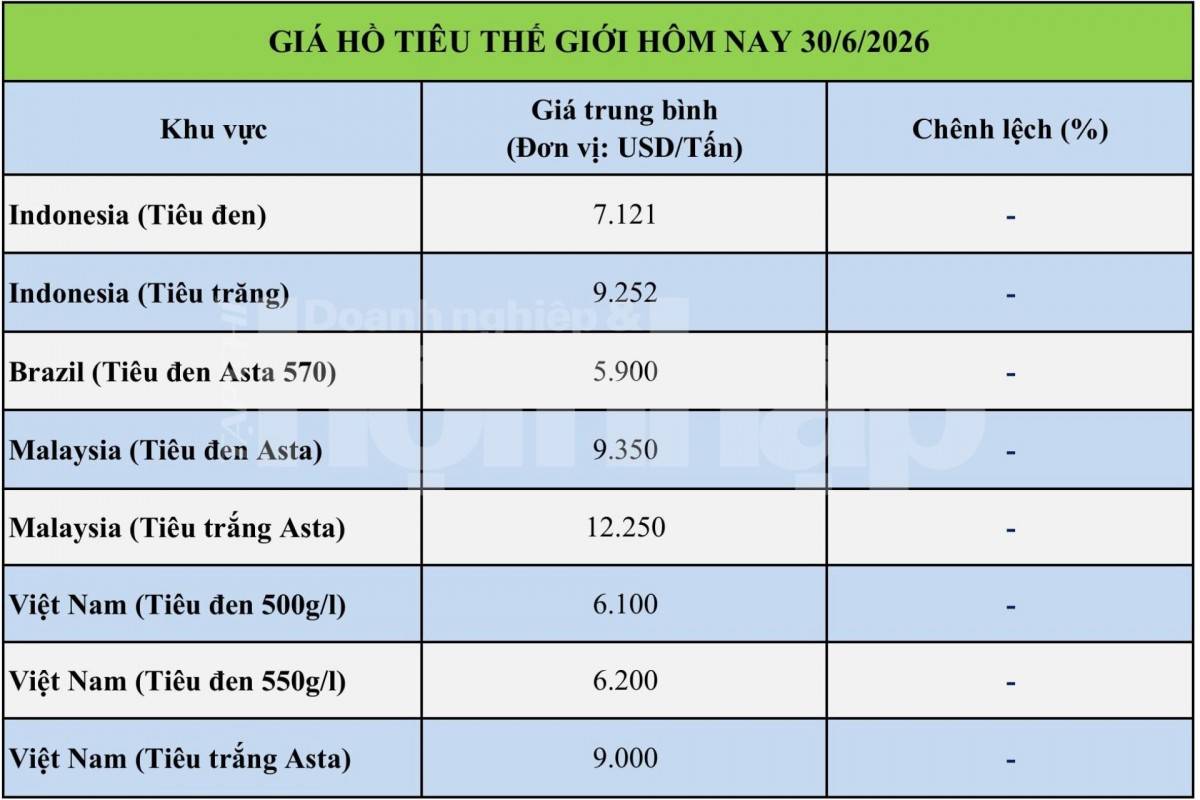Giá tiêu hôm nay 30/6/2026: