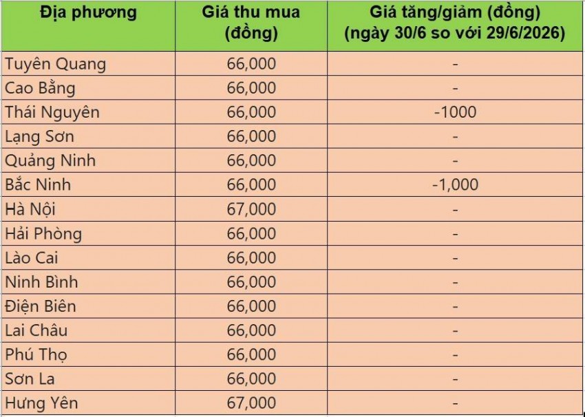 Bảng giá heo hơi tại miền Bắc hôm nay 30/6/2026
