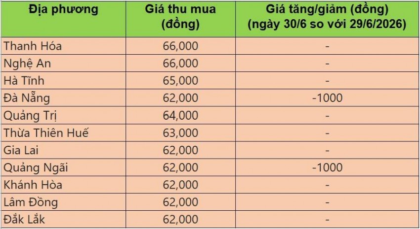 Bảng giá heo hơi tại miền Trung - Tây Nguyên hôm nay 30/6/2026