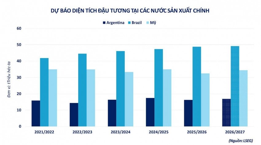 Thị trường đậu tương chạm đáy 4 tháng: Cơ hội cho doanh nghiệp thức ăn chăn nuôi nội địa