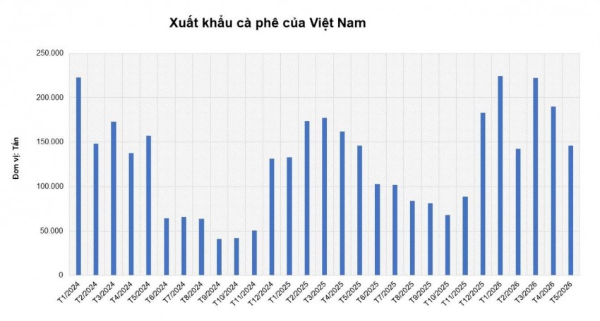 Cà phê thế giới đảo chiều: Arabica tăng tốc, Robusta hụt hơi