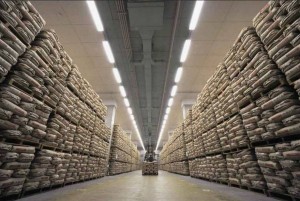 VCCI kiến nghị đưa xuất khẩu gạo ra khỏi danh mục ngành, nghề kinh doanh có điều kiện