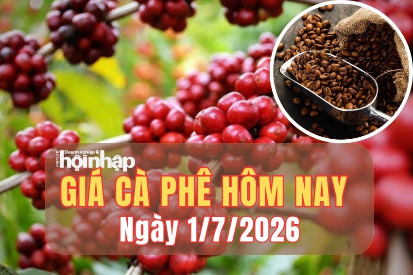 Giá cà phê hôm nay 1/7/2026: Giá cà phê Tây Nguyên giảm sâu, thị trường thế giới tăng mạnh