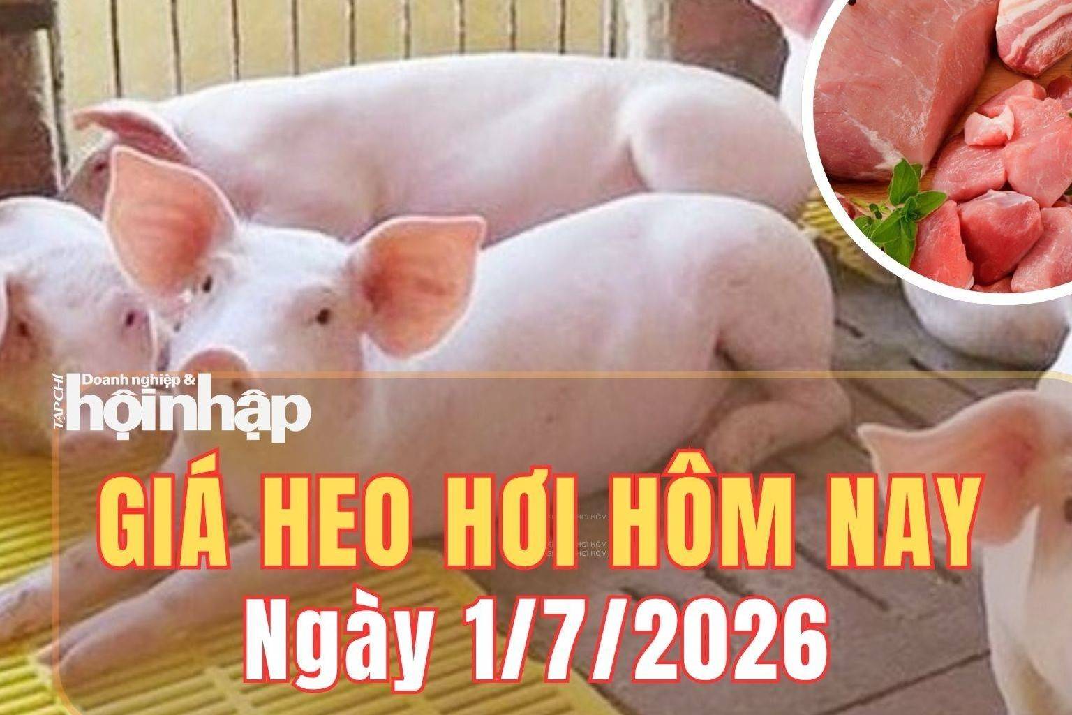 Giá heo hơi hôm nay 1/7: Giá heo hơi tiếp tục xu hướng giảm
