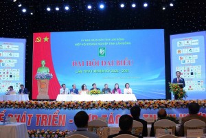 Lâm Đồng xây dựng Hiệp hội Doanh nghiệp thành điểm tựa của kinh tế tư nhân