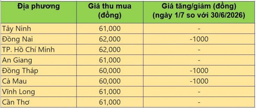 Bảng giá heo hơi tại miền Nam hôm nay 1/7/2026