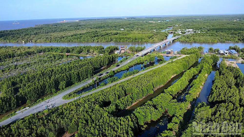 Kinh tế biển Cà Mau phát triển sau hợp nhất