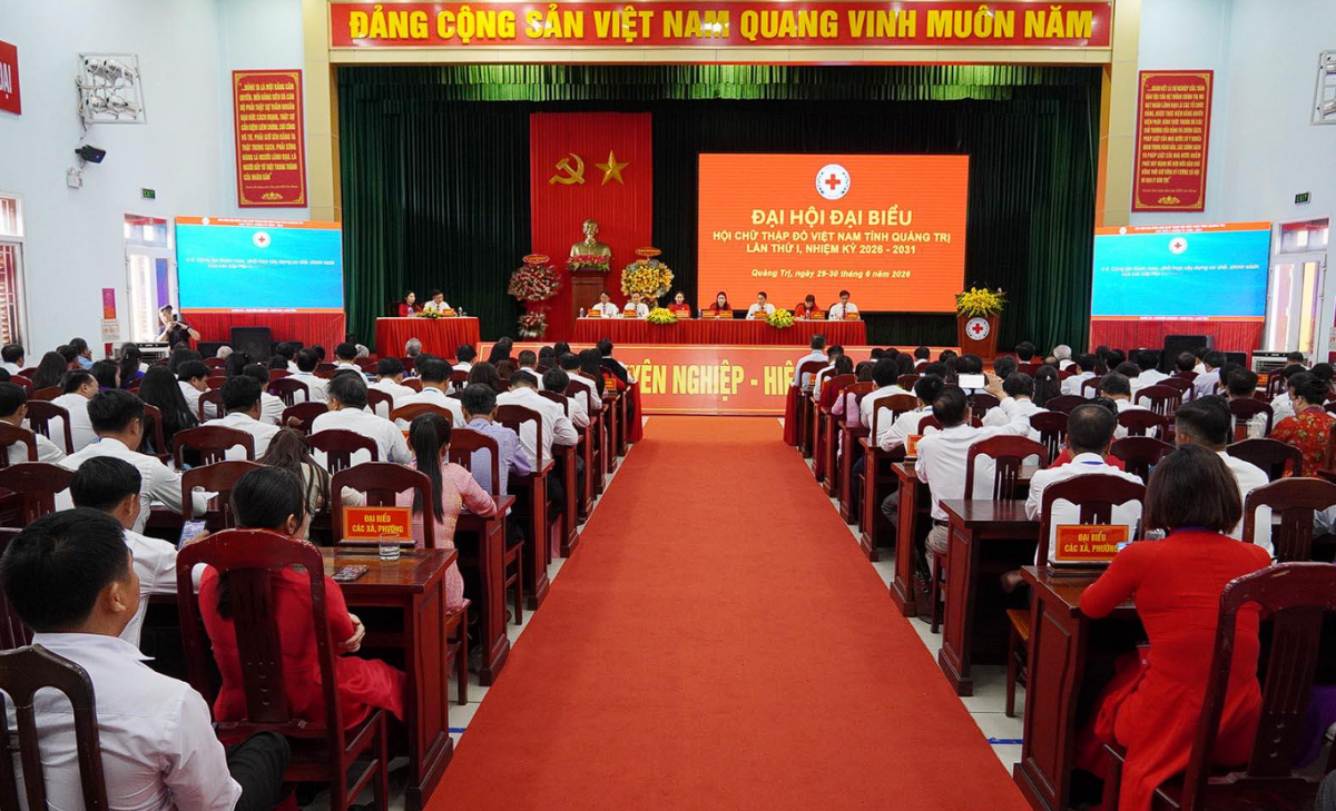 Quảng Trị: Xây dựng Hội Chữ thập đỏ chuyên nghiệp, hiện đại, lan tỏa giá trị nhân đạo