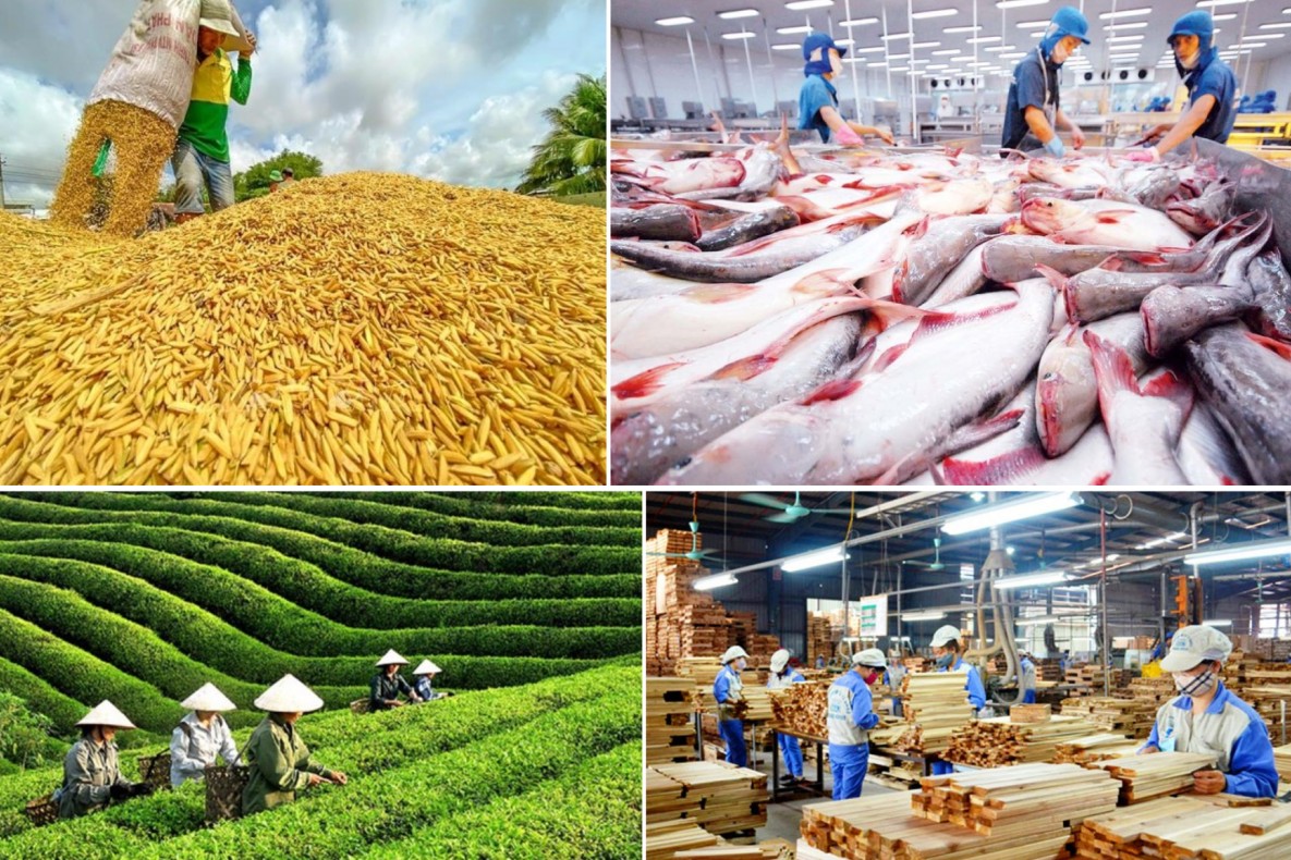 Xuất khẩu nông lâm thủy sản 6 tháng đạt gần 35,9 tỷ USD, xuất siêu 9,2 tỷ USD