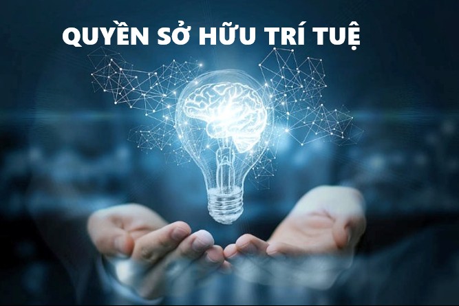 Lào Cai tăng cường thực thi quyền sở hữu trí tuệ, bảo vệ môi trường đầu tư kinh doanh